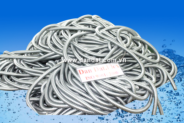 Click xem ảnh gốc